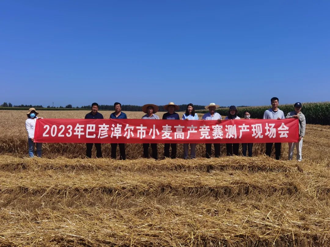 小麦仪水分测量实验报告_小麦水分测量仪_小麦测水分仪器怎么调